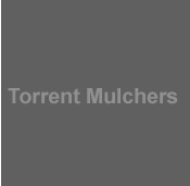 Torrent Technical