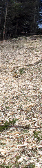 mulched